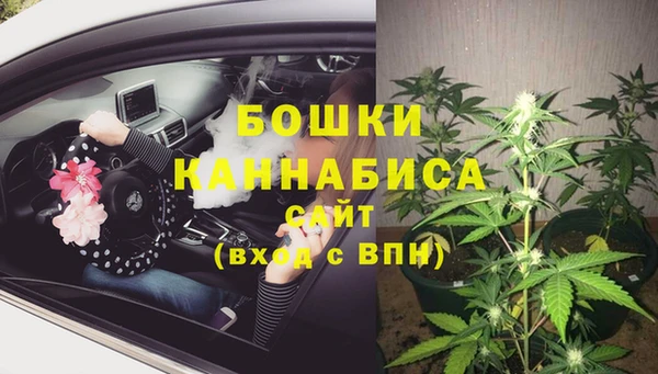 тгк Краснослободск